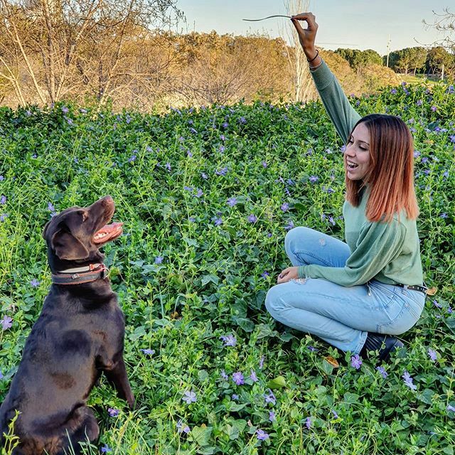 🐶❤
.
.
#familia #lola #juntasmolamas #love #lapequeñalola #valencia #risasysonrisas ift.tt/3c96bMs