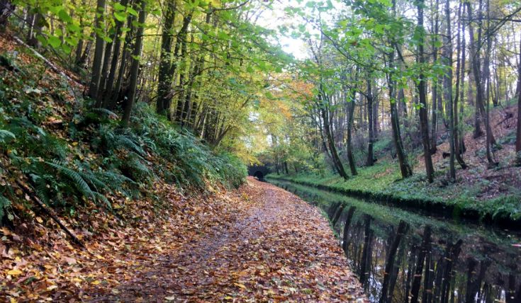 Ramblers Cymru 🏴󠁧󠁢󠁷󠁬󠁳󠁿 tweet media