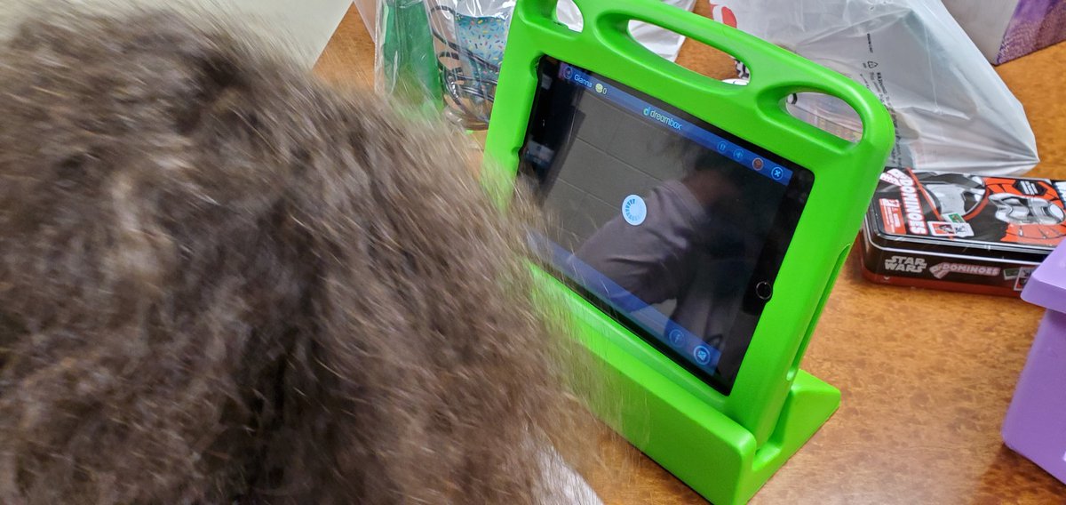 SGEMathTigers's tweet photo. Kindergarten students are very excited to use @DreamBox_Learn for the 1st time. @TitleIAACPS @AACPS_PK5Math #comparingnumbers #mathrack #tenframes @SouthgateTigers https://t.co/6xqgjFZNZW