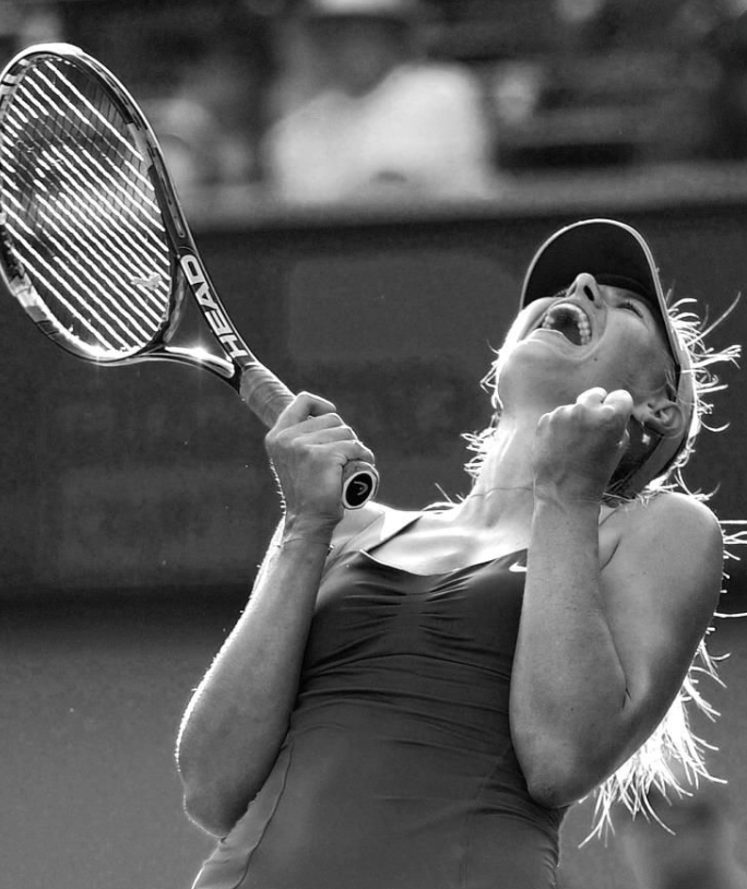 SharaFamily tweet media