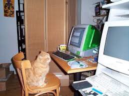 monitorcats's tweet image. 18