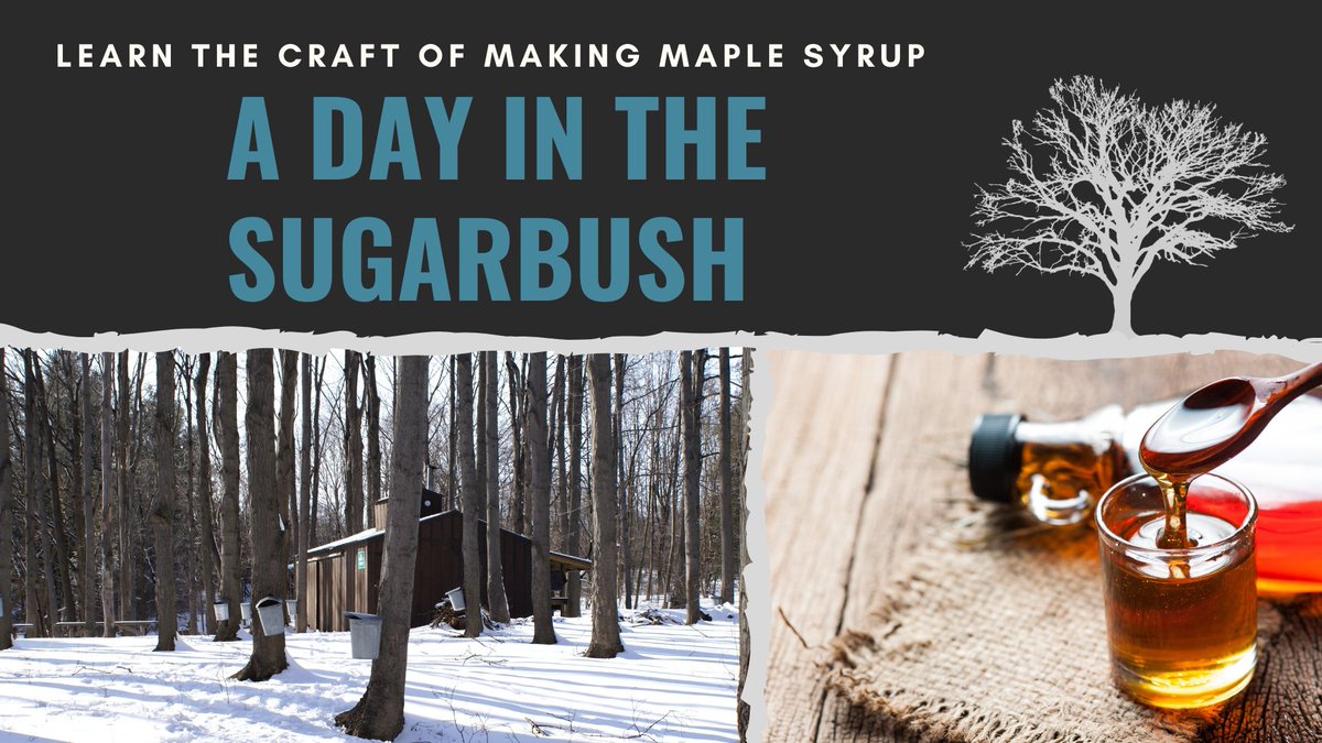 We are "tapping up" for our upcoming A Day in the Sugar Bush maple tapping program. Join us for our one hour guided program. Cost is $7 per person (kids under 3 free). Register early to save a spot, or fill in an empty spot the day of the program. bloomfield.org/maple