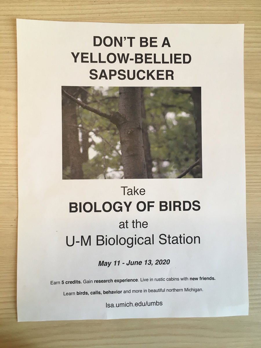 Hey @UMichStudents. Don’t you think you should sign up for #BiologyofBirds? To know ‘em is to love ‘em. Plus, field trips across northern Mich, keen classmates and instructors, supportive research experience, and a vibrant camp community. For financial aid, apply by March 15!