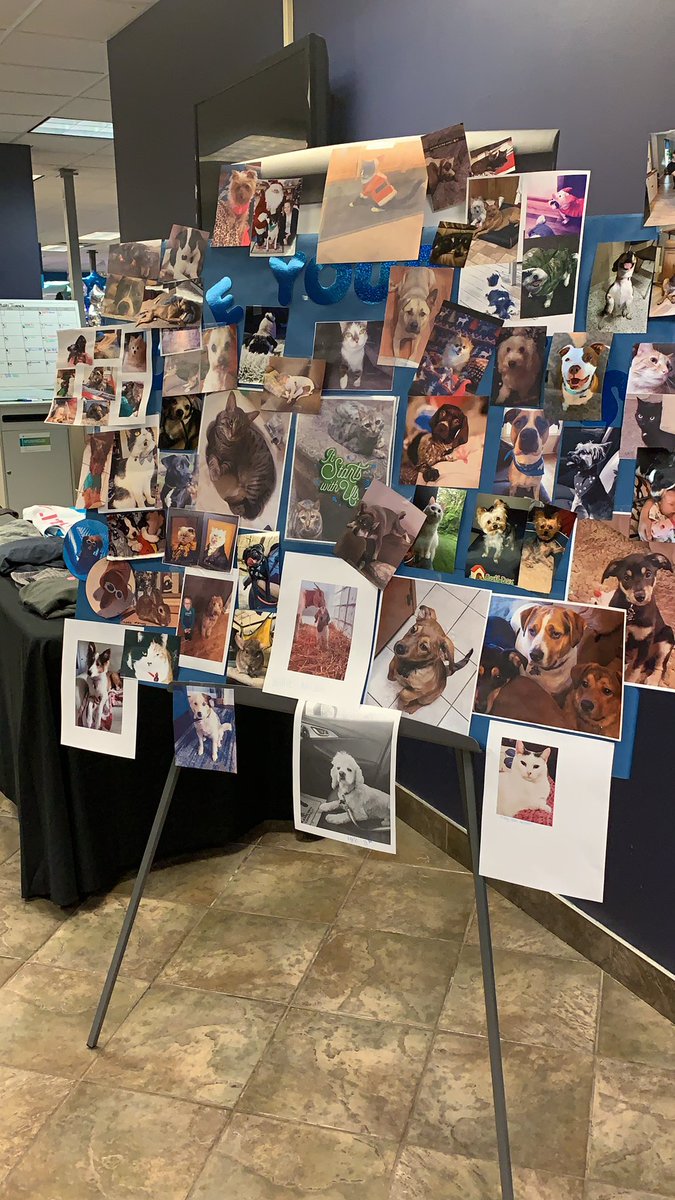 We love our pets like family! #fieldsfam #lifeatatt #boardman_fun