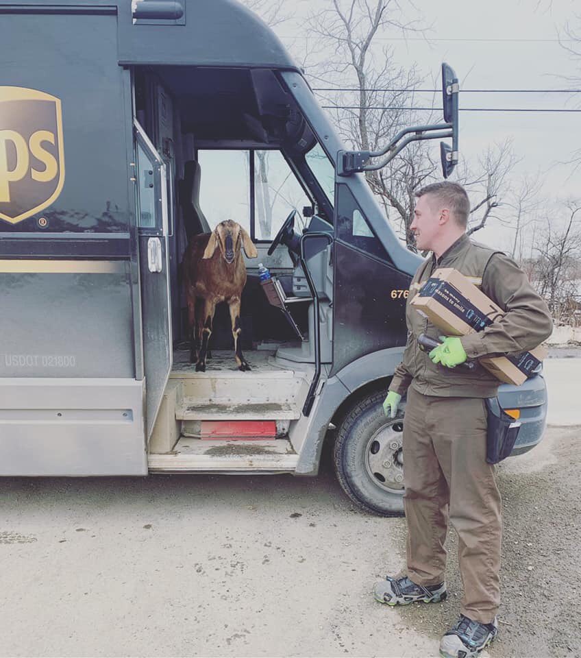 The Bits of Yesterday tweet media