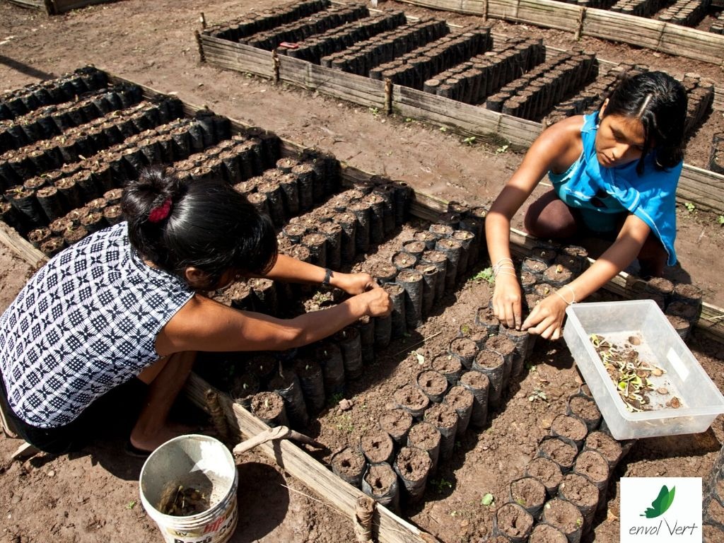 bombaestereo's tweet image. Crecemos, 🙋🏻 soñamos ✨ y trabajamos sin parar en cada proyecto de la zona caribe colombiana. Conoce como trabajamos con diferentes comunidades en pro de la conservación. 👇#EnvolVert #SembrandoFuturo

envol-vert.org