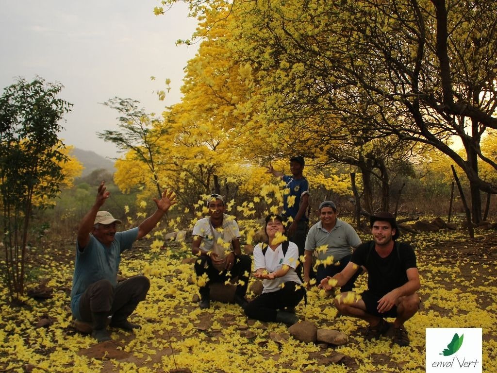 bombaestereo's tweet image. Crecemos, 🙋🏻 soñamos ✨ y trabajamos sin parar en cada proyecto de la zona caribe colombiana. Conoce como trabajamos con diferentes comunidades en pro de la conservación. 👇#EnvolVert #SembrandoFuturo

envol-vert.org