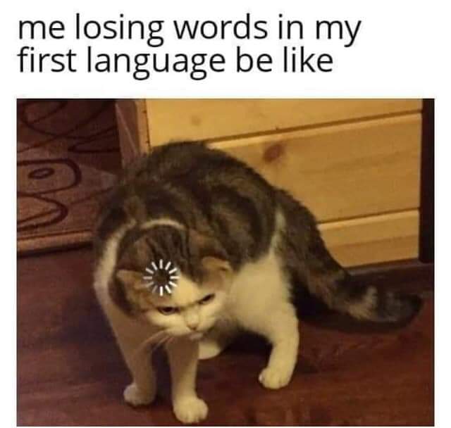 jhoselynporras's tweet image. 🤣🤣🤣 So true...

#polyglotstruggles
#learningnewlanguages