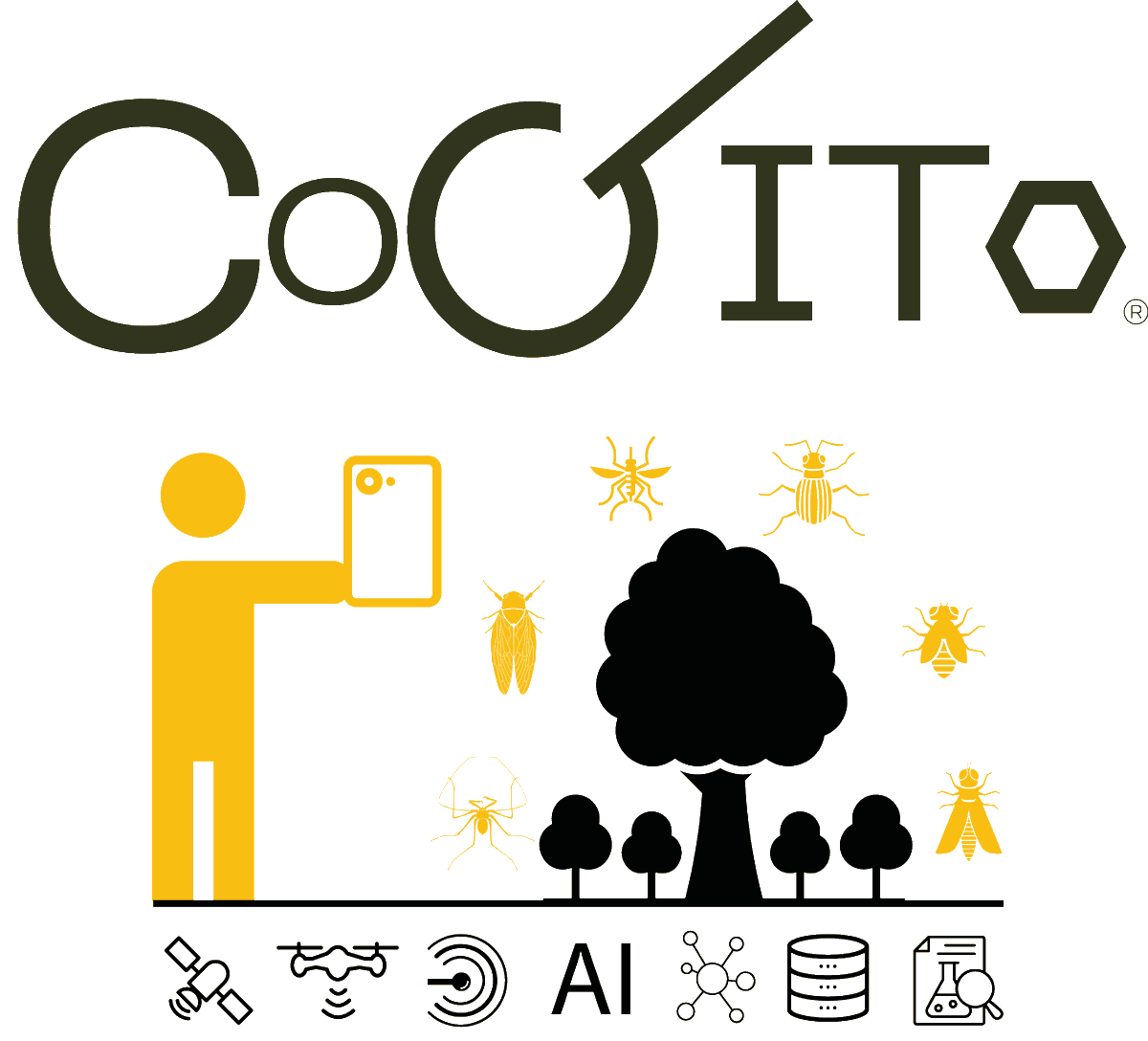 OpenSciFellows's tweet photo. Bürger*innenwissenschaften blühen unter dem englischen Begriff #CitizenScience auf. Mit dem Projekt COGITO will ein Fellow @hirnkastl_sci herausfinden, was am Wichtigsten ist, um Citizen Science nachhaltig anzuwenden.

Macht mit bei der Umfrage! https://t.co/ts6R7uGhl7 https://t.co/A9XlUrAHX2