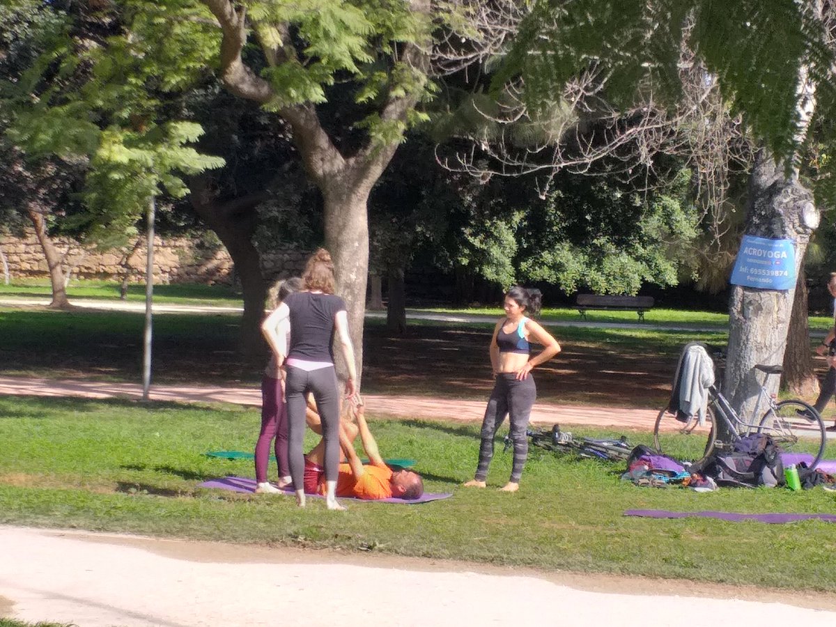 arbopalm's tweet photo. I know it is obvious to say it but under the trees the human being gets to do everything.  And I like to see they do indeed: exercise routines for the elderly, acroyoga, relaxing postures or.. nothing interesting
This morning #Treebikeride https://t.co/ADjUDvevTL