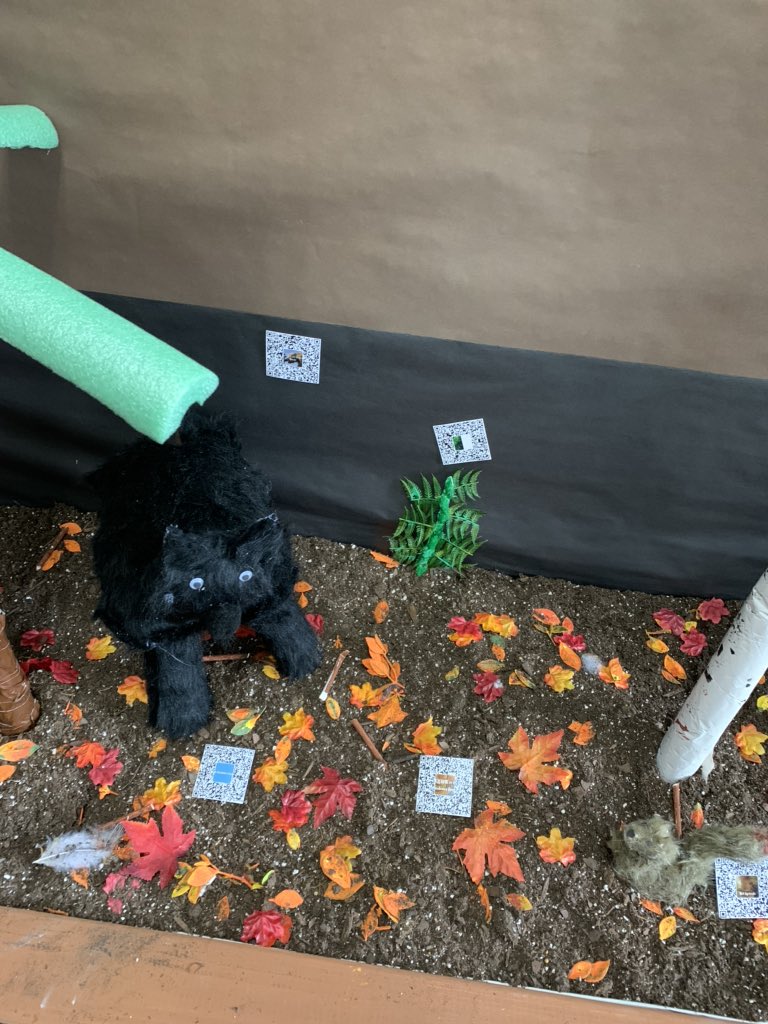 5th grade’s incredible biome project! <a href="/LHPclassroom/">LHPclassroom</a> <a href="/lhp5thgrade/">5thGrade</a> <a href="/EmilyBlomquist2/">emily blomquist</a> #qrcodes #designthinking #PBL