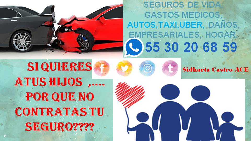SEGUROSACE1's tweet photo. https://t.co/ICgiy3rTuk
