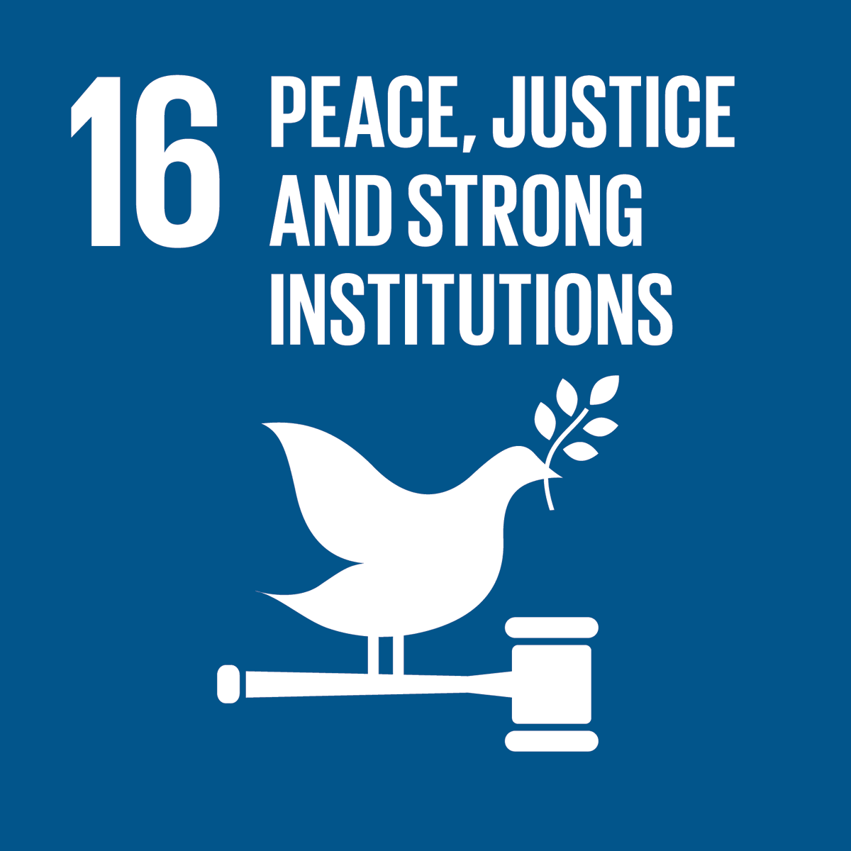 123) SDG #16: Provide peaceful and inclusive societies for sustainable development, provide access to justice for all, and build effective, accountable and inclusive institutions at all levels.