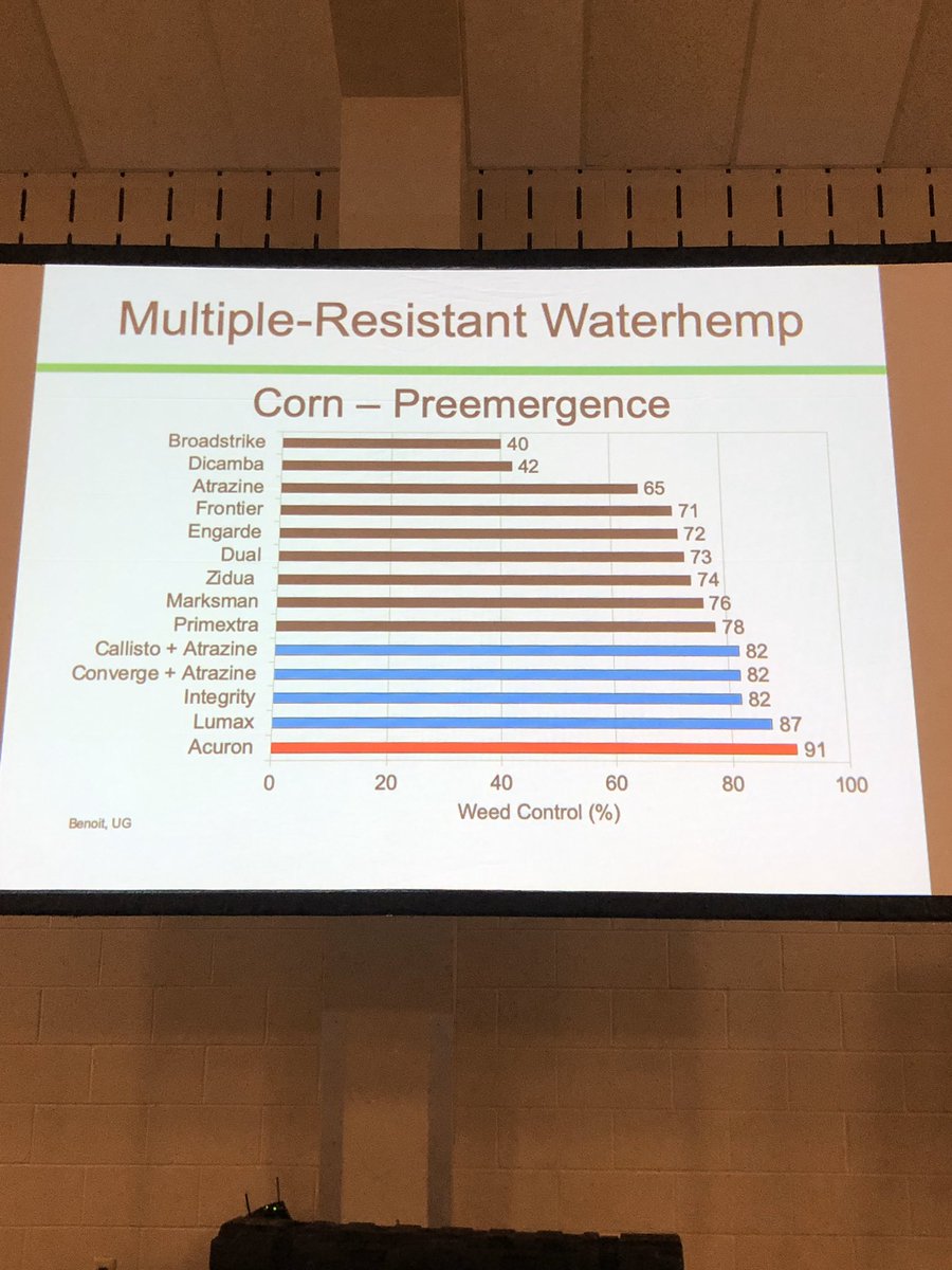 MapleviewFarms's tweet photo. @psikkema1 speaking about weed resistance at #MSCIA Crops Update https://t.co/OlfcQmNd79