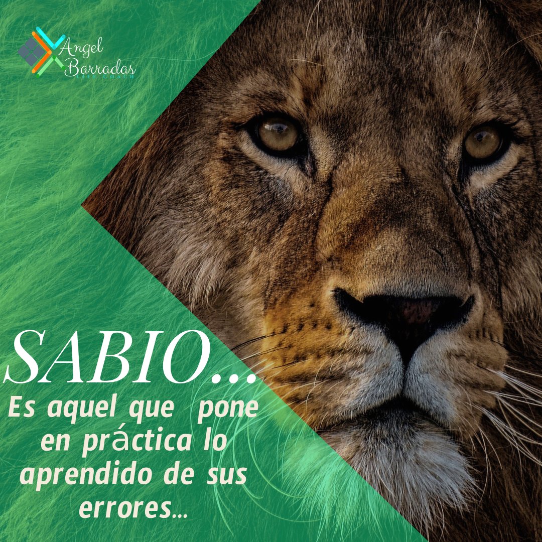 IvanBarradasC's tweet photo. #SoyInquebrantable #LifeCoaching #AlmaInquebrantable #GuerrerosDeDios https://t.co/dsXu20Sadd