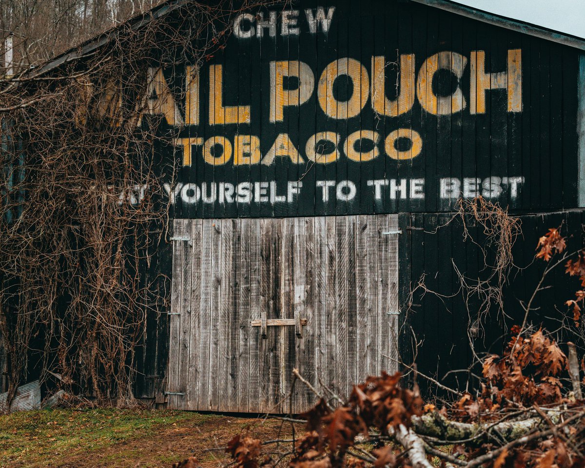 steven_bevis's tweet photo. An old Mail Pouch barn in Isonville Kentucky #mailpouch #tobaccobarn #Isonville #Kentucky #Ruralamerica #ruralkentucky #stevebevisphotography #sonya7rIII #sony70200GM https://t.co/u0w9LUe9sD