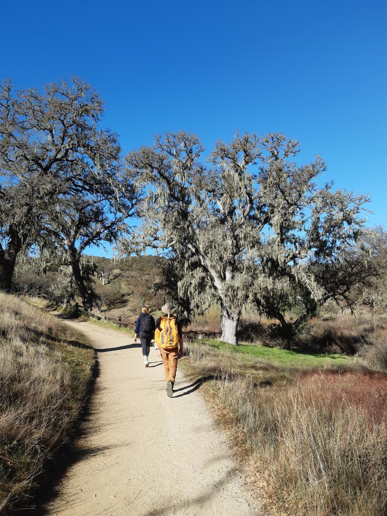 r_sarremejane's tweet photo. Just back from the field! What a beautiful place to work in @PinnaclesNPS! Continuing @mtbogan long-term monitoring of intermittent streams (6th year already) and starting the @StreamCLIMES project sampling season. Had fun with this team! @willydemendoza @Albert_Ruhi https://t.co/Pde5bLfx75