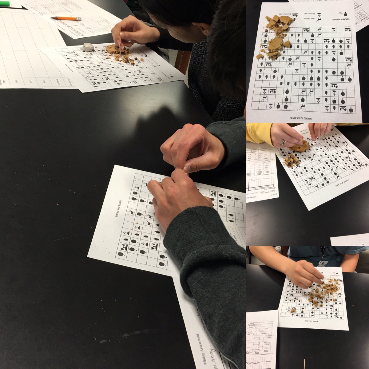 AP environment science students are mining for the very valuable mineral chocolate to simulate environmental impacts from mines. #katyisdscience #cpoe #crhs @nikjpeff