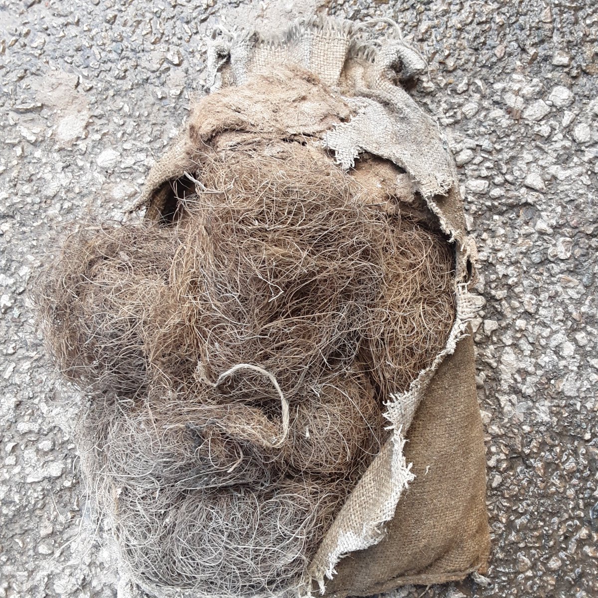 JayneWalden1's tweet photo. Found in the wall of the #barnbuild???? #reclamation
https://t.co/JB3l5wRHqb https://t.co/WNLynhwmpu