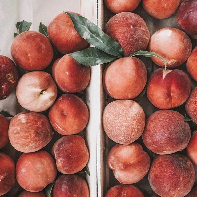 BeeKitchenWrap's tweet photo. “If you keep good food in your fridge, you will eat good food.” – Errick McAdams https://t.co/kwnyibzcxG https://t.co/8LGqkjOKtQ