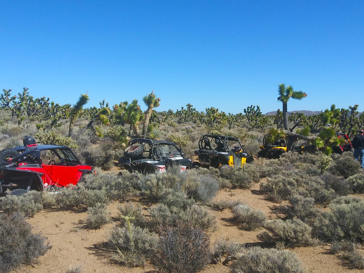 Go Baja Riding Tours tweet media