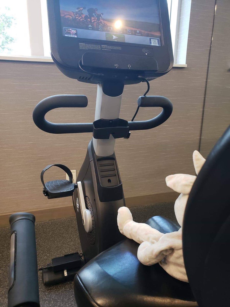 agrobins's tweet photo. Huge kudos to @Res_InnSurfside for taking good care of Bunny who apparently decided to stay a little longer at their hotel than we did! Thank you for going the extra mile. #grateful #customerservice https://t.co/4Zes6jVBN7