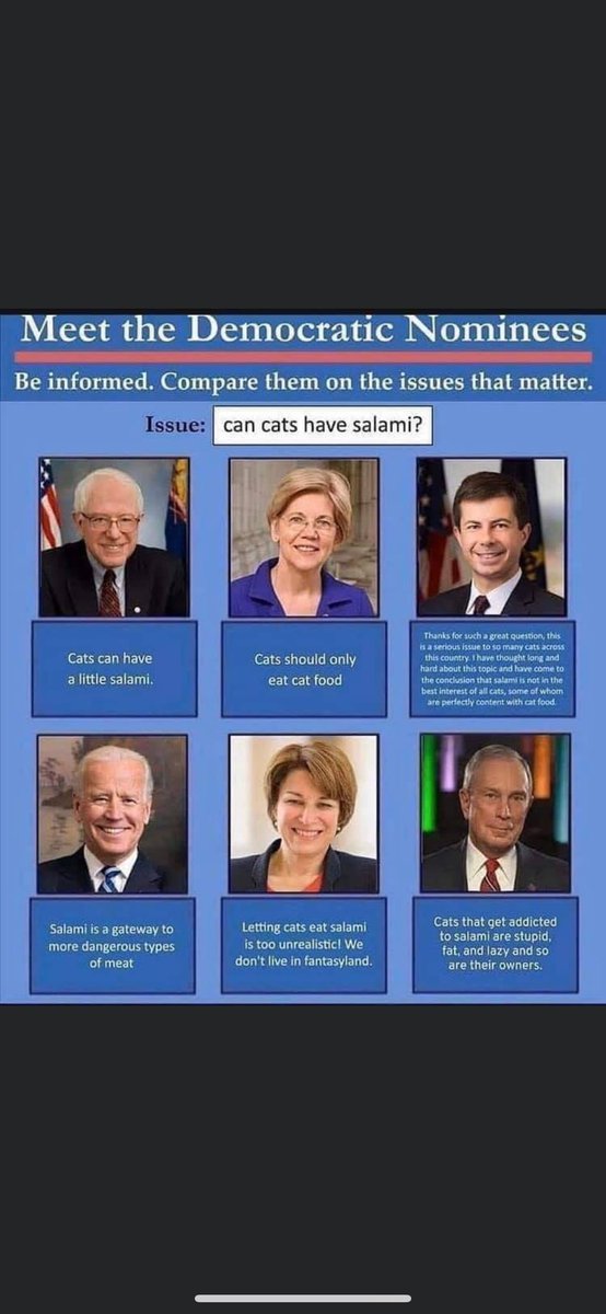 devinnunesnut's tweet image. Accurate