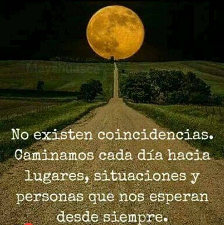 maba017's tweet image. No existen....