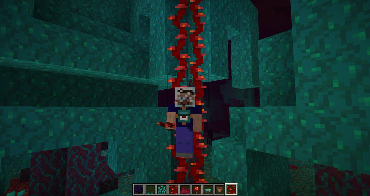 Minecraft News Twitterissa Several Additions And Tweaks Have Been Made In The Minecraft Nether Update You Can Now Climb Weeping Vines You Can Now Place Warped Crimson Fungus Minecraft News Twitterissa Several Additions And Tweaks Have Been Made In The Minecraft Nether Update You Can Now Climb Weeping Vines You Can Now Place Warped Crimson Fungus