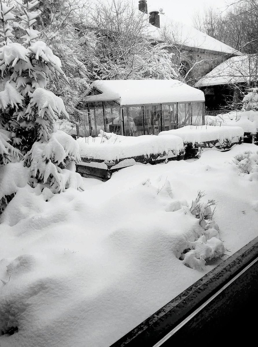 sevenradiooff's tweet photo. La neige de retour! #neige #ardennes https://t.co/i7CPULt0Tw