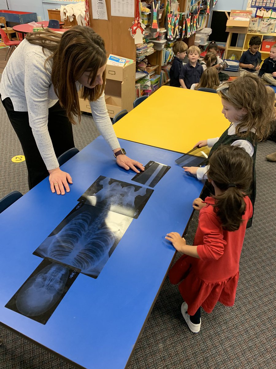 AcademyPreK's tweet photo. X week has been exciting! Today we welcomed current parent, Dr. Jesse Miller to teach us all about x-rays! We identified the different parts of the body and then put together a skeleton! @ash1818 https://t.co/fK5JG1IM1W