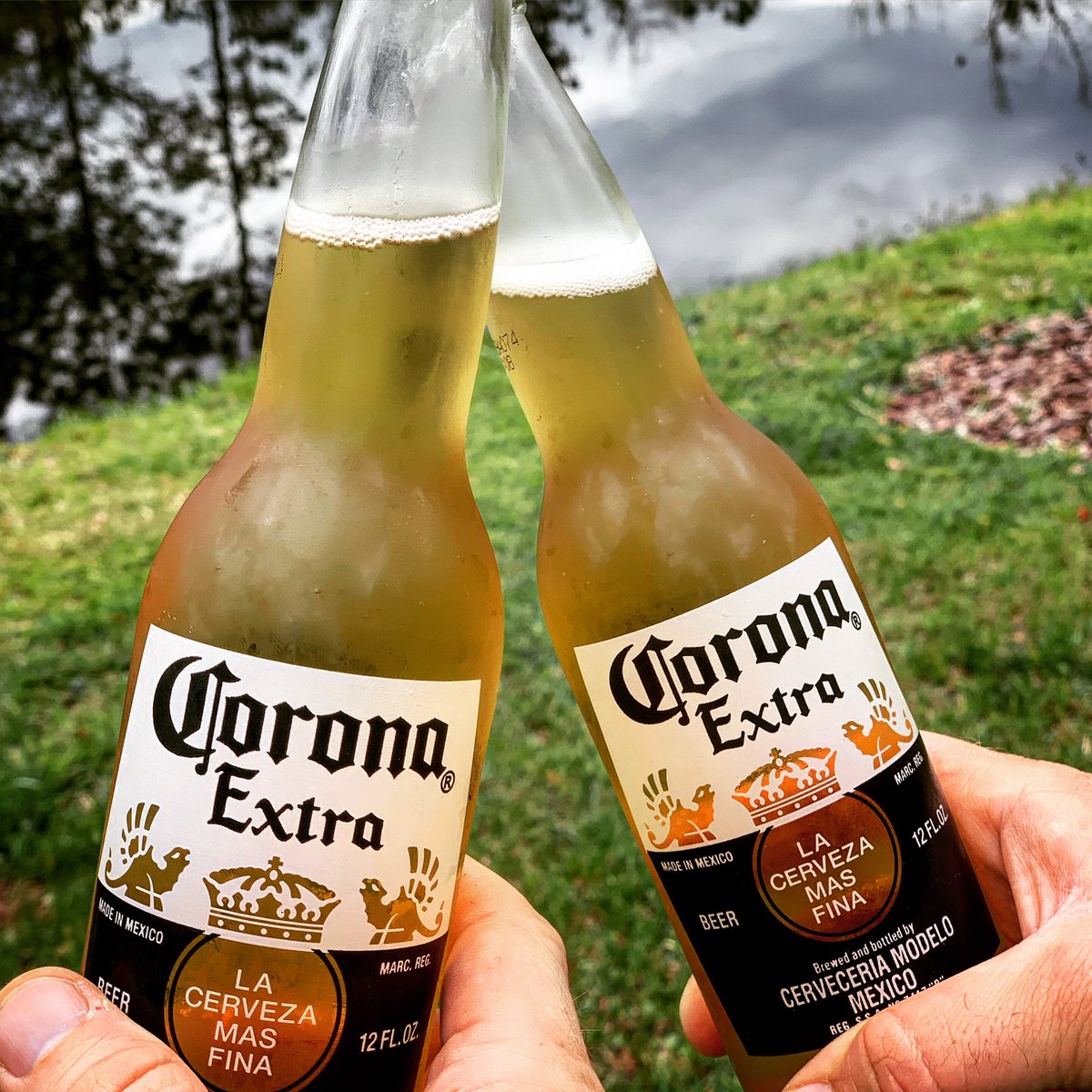 Kaleb Lee tweet media