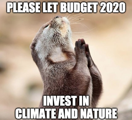 David Suzuki FDN tweet media