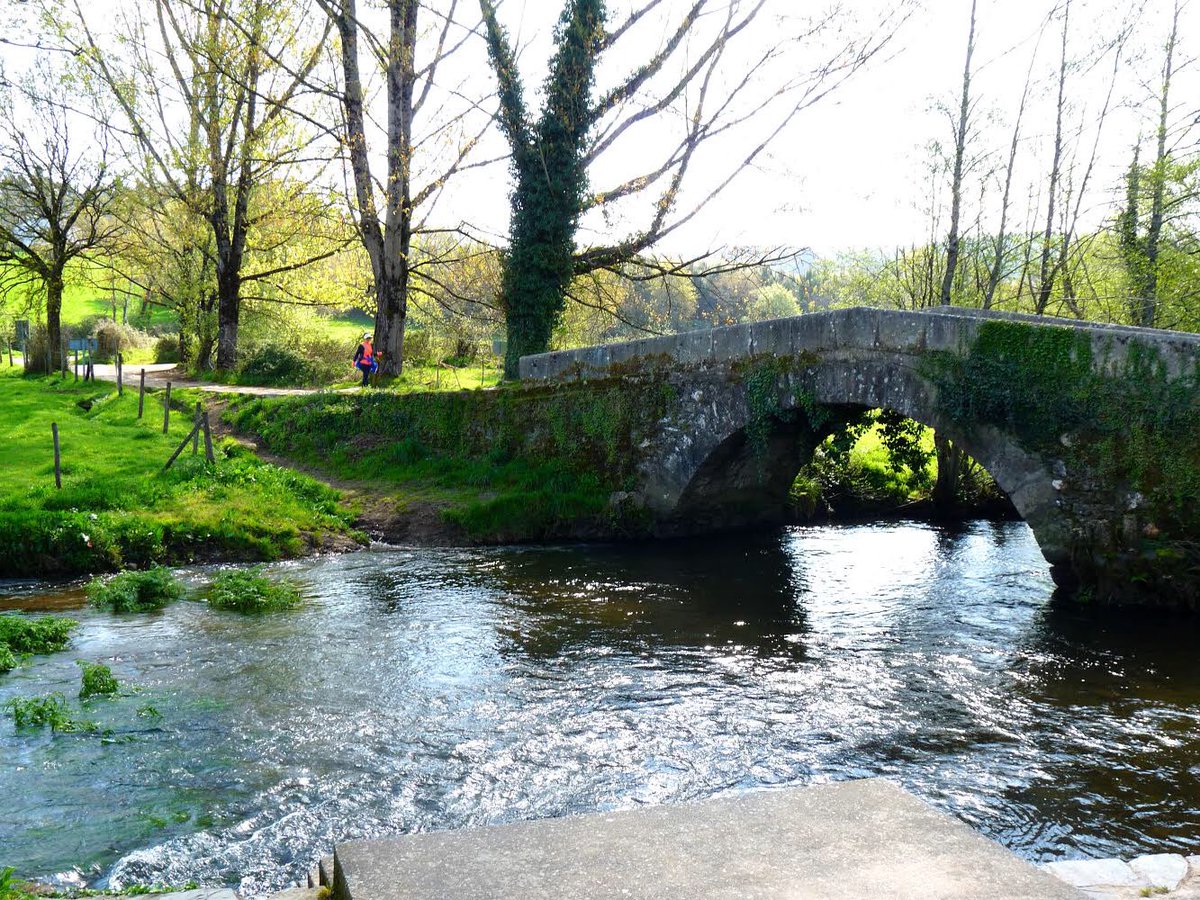 MarlyCamino's tweet photo. You can find this medieval bridge in the last 100 km of the French Way, walking along our 👣 Buen Camino or 👣 Buen Camino Lite.⁠

https://t.co/NAgigaAz2f https://t.co/ozrLGL9asn