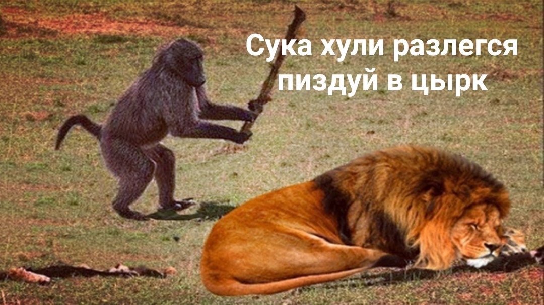 ERugfplWoAAliGS?format=jpg&name=medium