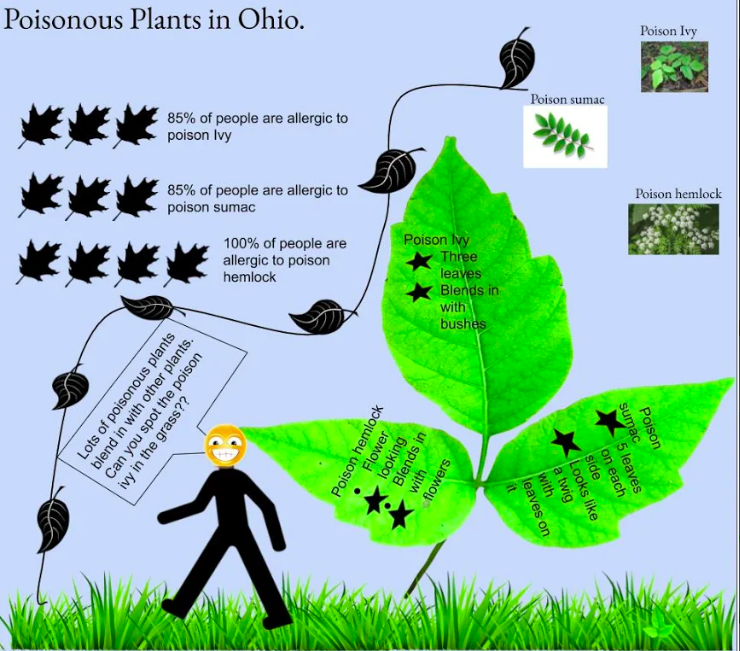 MissWithrow217's tweet photo. @TSDMarshall A sneak peek at our #infographic creations! Students have worked hard researching a global issue and organized their findings into their infographic. #OWP #thisisMEtsd #talawandaempowers https://t.co/KtPoCgpK8E