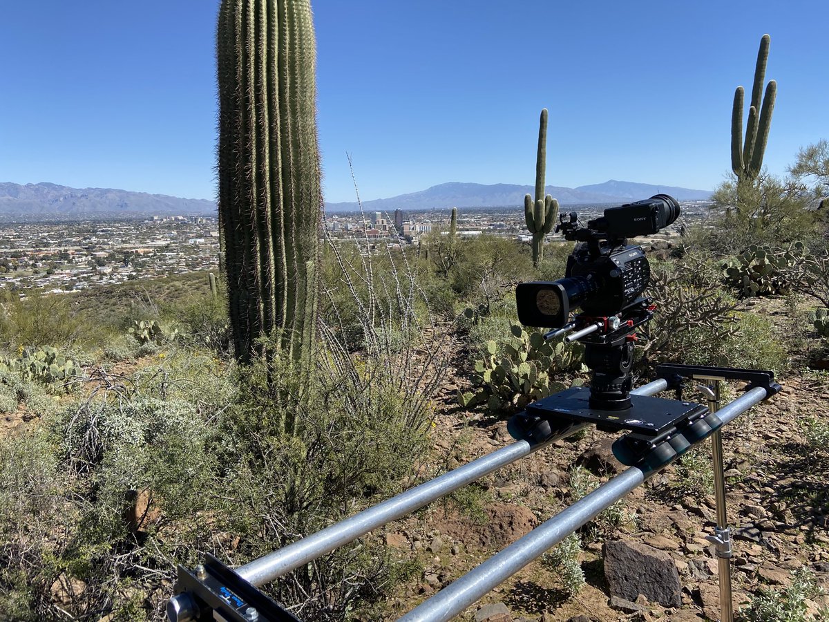 Working on a story about research on Tumamoc Hill. With ⁦<a href="/tbreadnwater/">Tony Paniagua</a>⁩ Wind is a bit much.