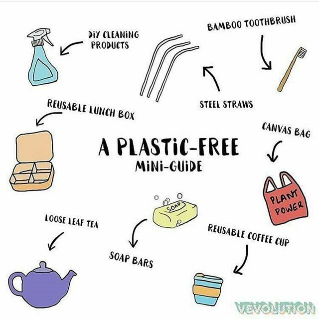 With the March 1st plastic bag ban about to take place in New York State, take a look at some of these other plastic-free suggestions from @ecomarketpro.
.
.
#plasticfree #zerowaste #ecofriendly - #regrann #BrooklynMicrogrid #BMG #LocalEnergyMarketplace ift.tt/2vmOU1R