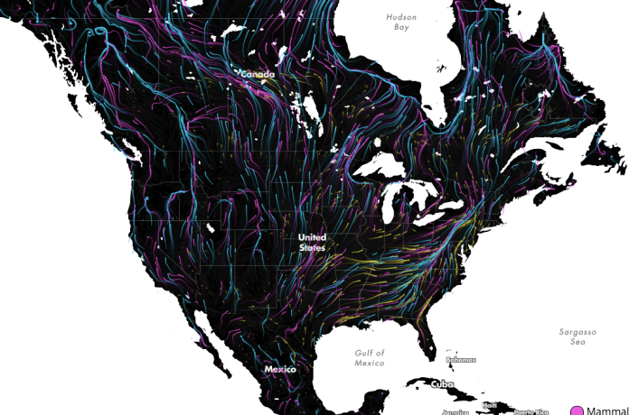 MapScaping tweet picture