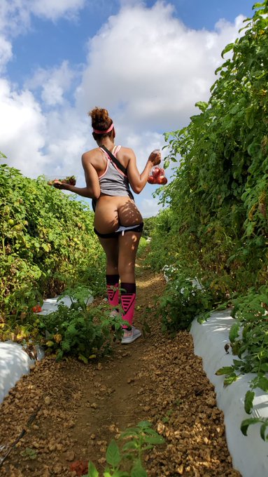 Who wants some tomatoes and strawberries!!?? https://t.co/0BMYrayxgy