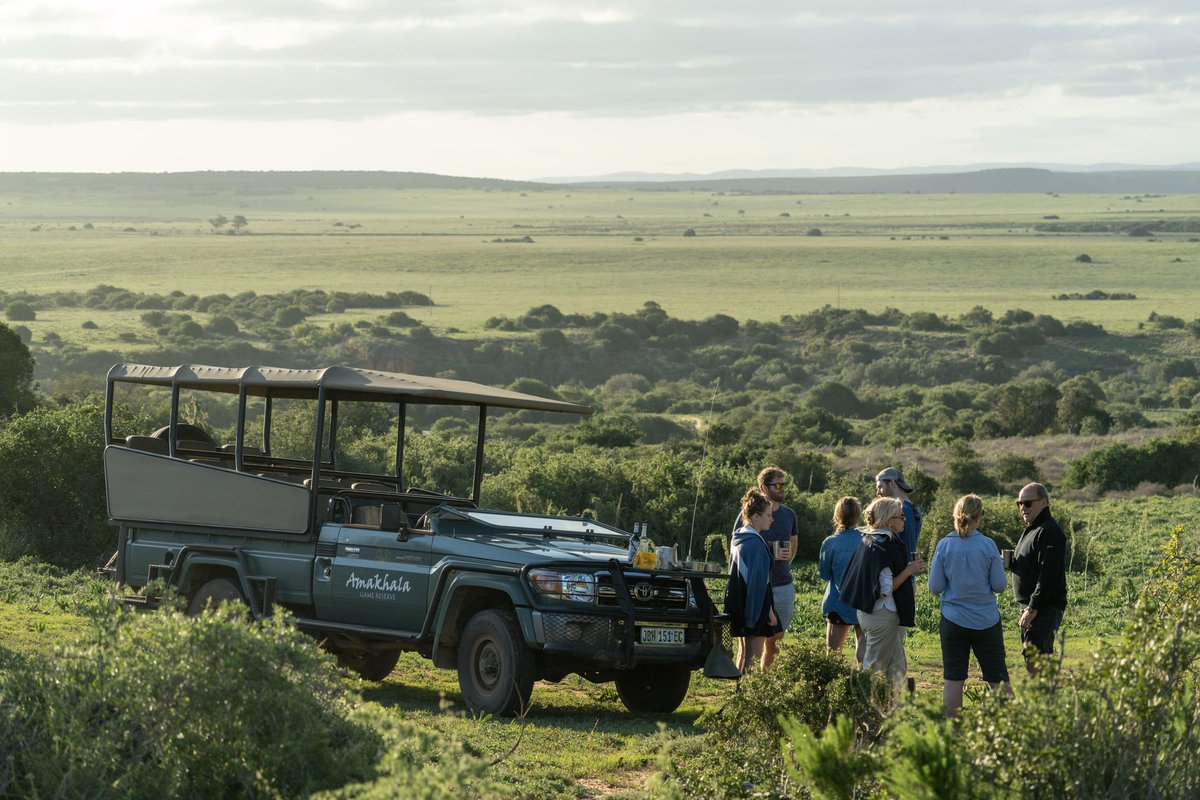 visitwithus's tweet photo. You want wildlife? We’ll take you there. 😍
@Azamara #ExploreFurther @Bukelagamelodge @amakhala #SouthAfrica #DestinationImmersion https://t.co/ximMY8d0Lu