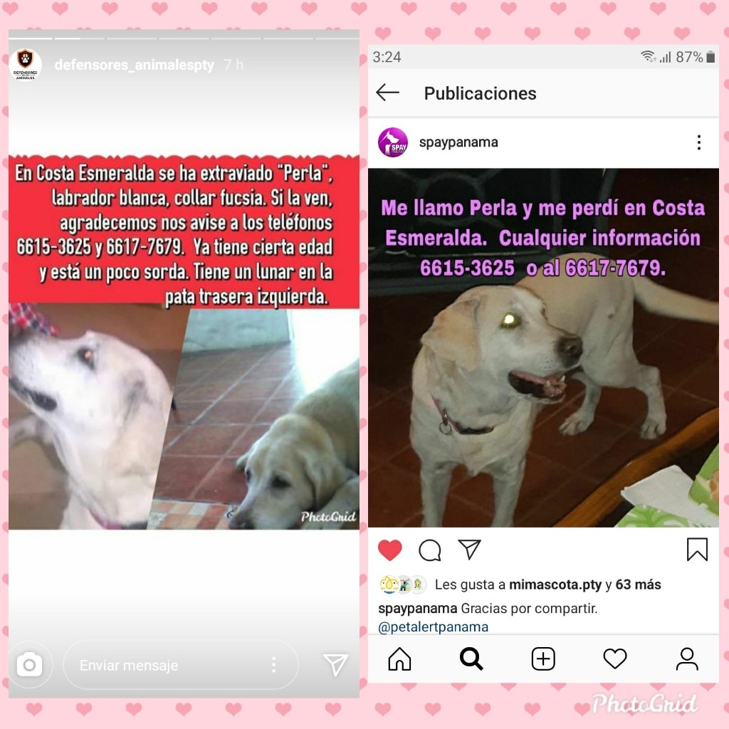 Nacelys González tweet media