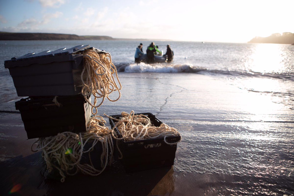 A quarter of a million seeds in the water - #seagrassoceanrescue is in full swing due to a colossal team effort. Onwards and upwards for UK  seagrass #oceanoptimism 
#teamseagrass 
Utter admiration for all the people who have helped us on this journey.