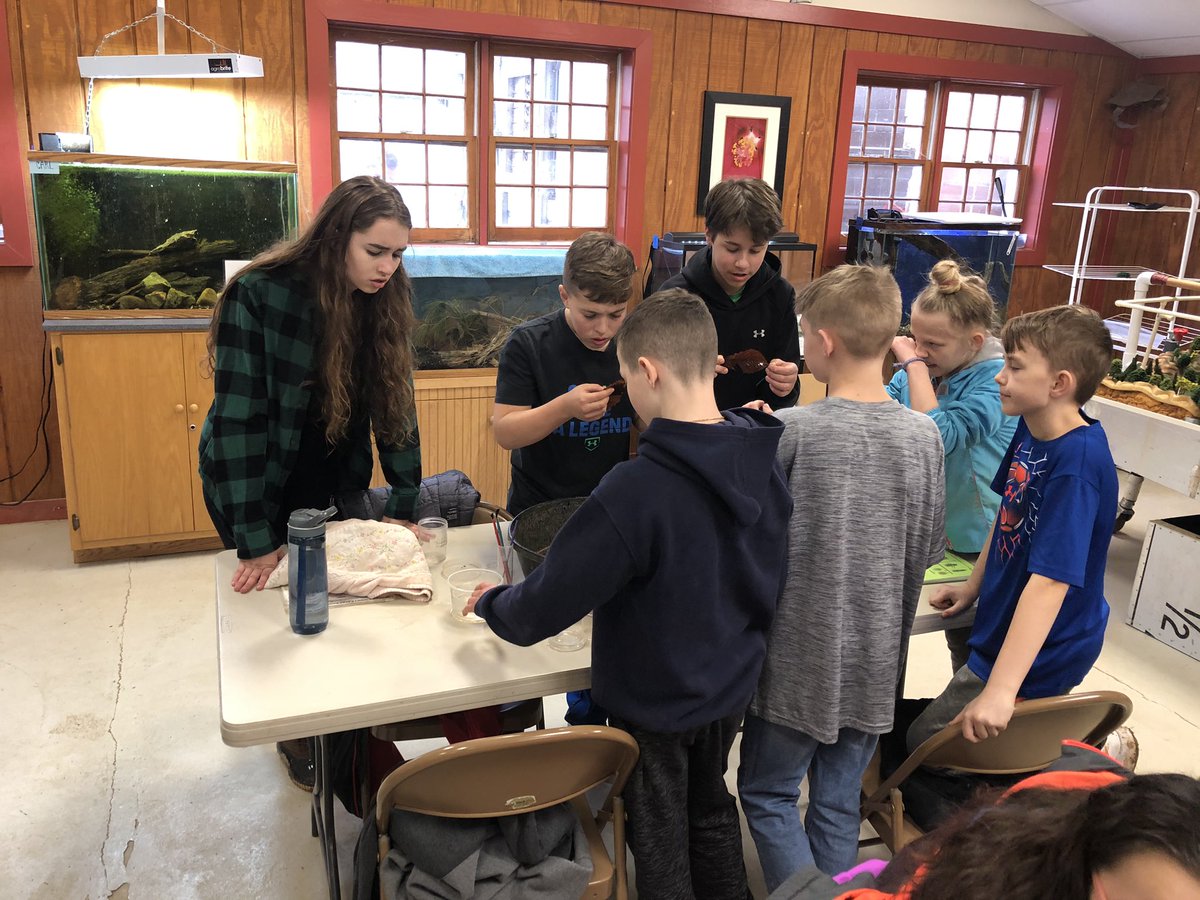 acunningham2516's tweet photo. Data collection in Stream class today was a big success. Lots of biodiversity in Bear Branch! #ODSchangetheworld https://t.co/8eH04DVRSY