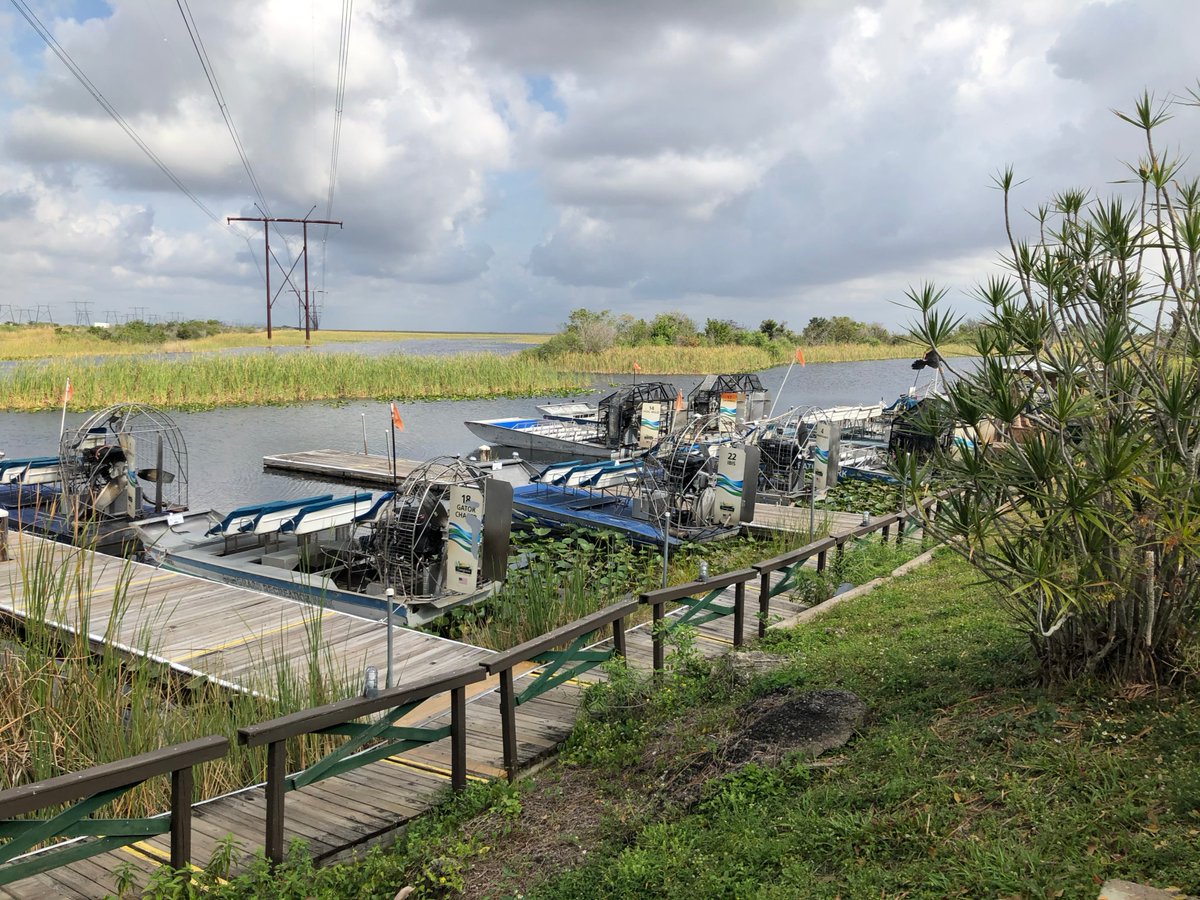 WebbInstitute's tweet photo. We love sharing Webbie Winter Work experiences! In Florida, Isa Hill's '20 co-workers took her on her first airboat ride. Disclaimer: It is mandatory to hold an alligator after each airboat ride. #airboats #WebbWinterWork https://t.co/3qaSII37Ha