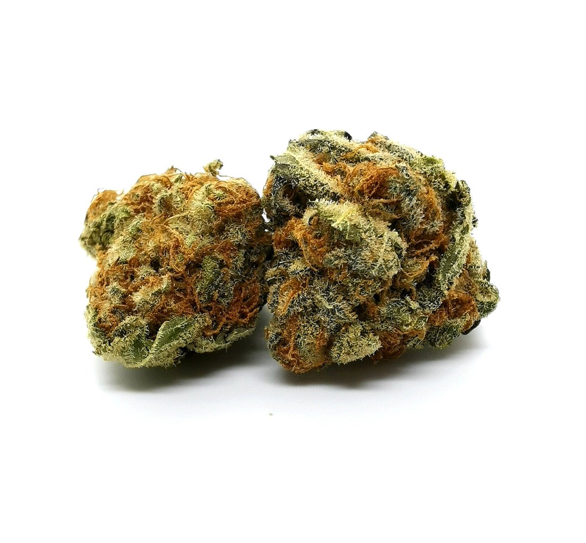 cannabis_sensei's tweet photo. Quick shot of #twotoneban by #riff based on my past experience with RIFF, they stepped their game up with this one. Only 6 nugs in 3.5 grams, not too dry with no humidity pouch. This one had 19.29% thc. https://t.co/qUiFMQuzgy