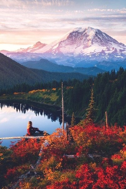 izbrannoye's tweet image. Глупость – это переживать по поводу того, чего нет, разум – это быть благодарным за то, что уже есть.