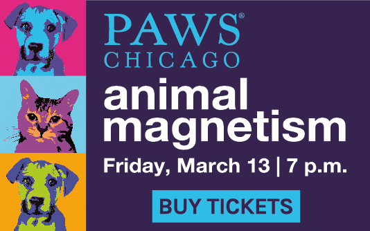 chimaguncovered's tweet photo. Join @PAWSChicago for their annual Animal Magnetism event! On March 13th, 2020 at Morgan Manufacturing, Guests will enjoy a night of provisions, spirits, dancing, entertainment, and more! Purchase tickets here: https://t.co/RdV7kmJFHp https://t.co/itqdElvNUt