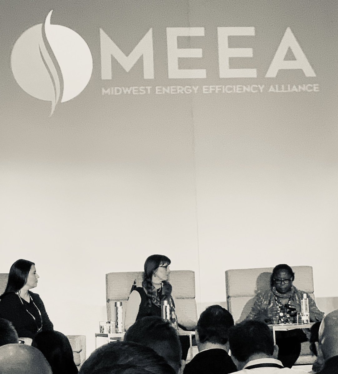 Community Perspectives on #energyefficiency at #2020MES - lots of great panelists I respect. Excited to hear from <a href="/NaomiDavisBIG/">Naomi Denise Davis</a> with Blacks in Green now! “We are here to build economies”