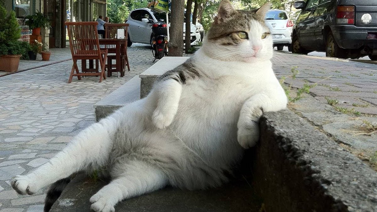 thelaceylondon's tweet photo. In six words or fewer, write a story about this photo...  

#amwriting #sixwordstory https://t.co/dd8FhiktMB